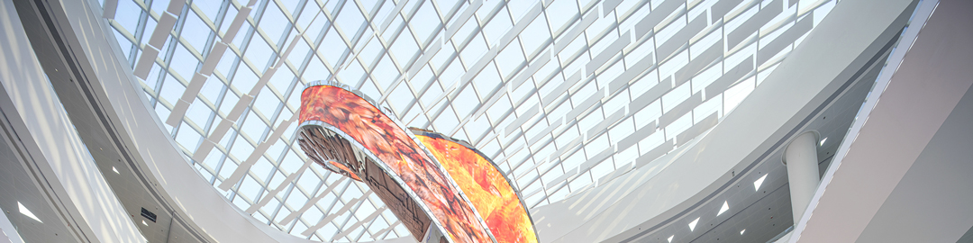 1775798968475603.jpg 2A.jpg